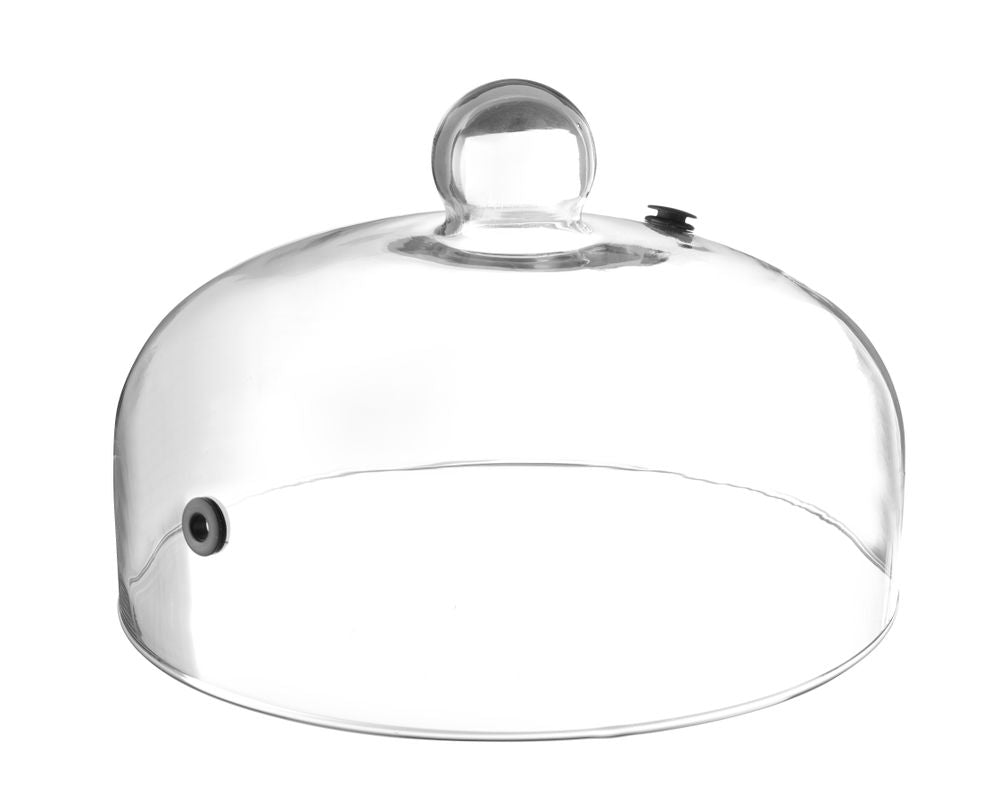 glass_dome_with_vent_199664