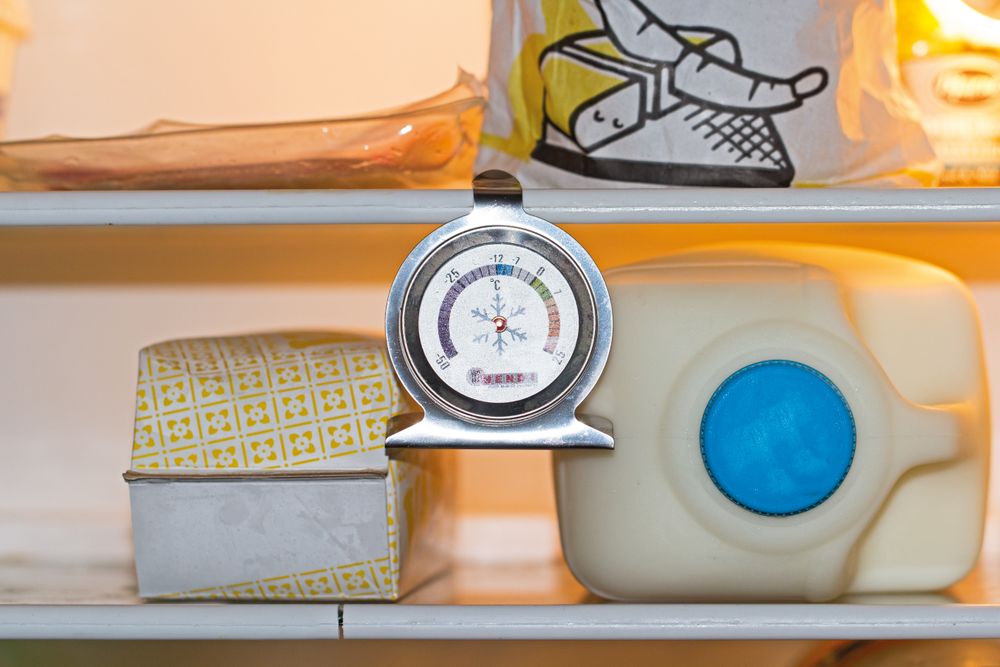 refrigerator_thermometer_271186