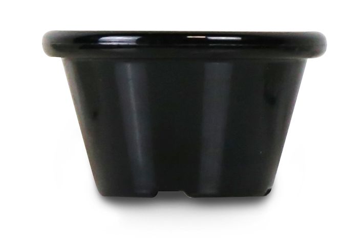 ramekin_12_pcs_565605