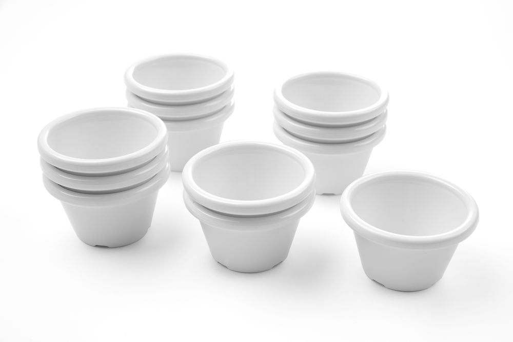 ramekin_12_pcs_565612