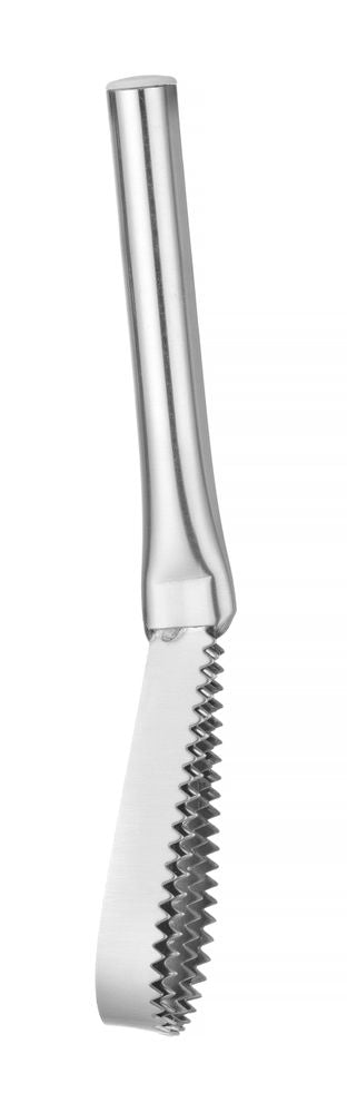 fish_scaler_680223