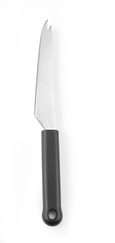 cheese_knife_for_hard_cheese_856239