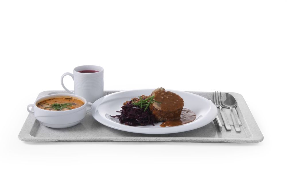 polyester_tray_for_selfservice_restaurants_876619