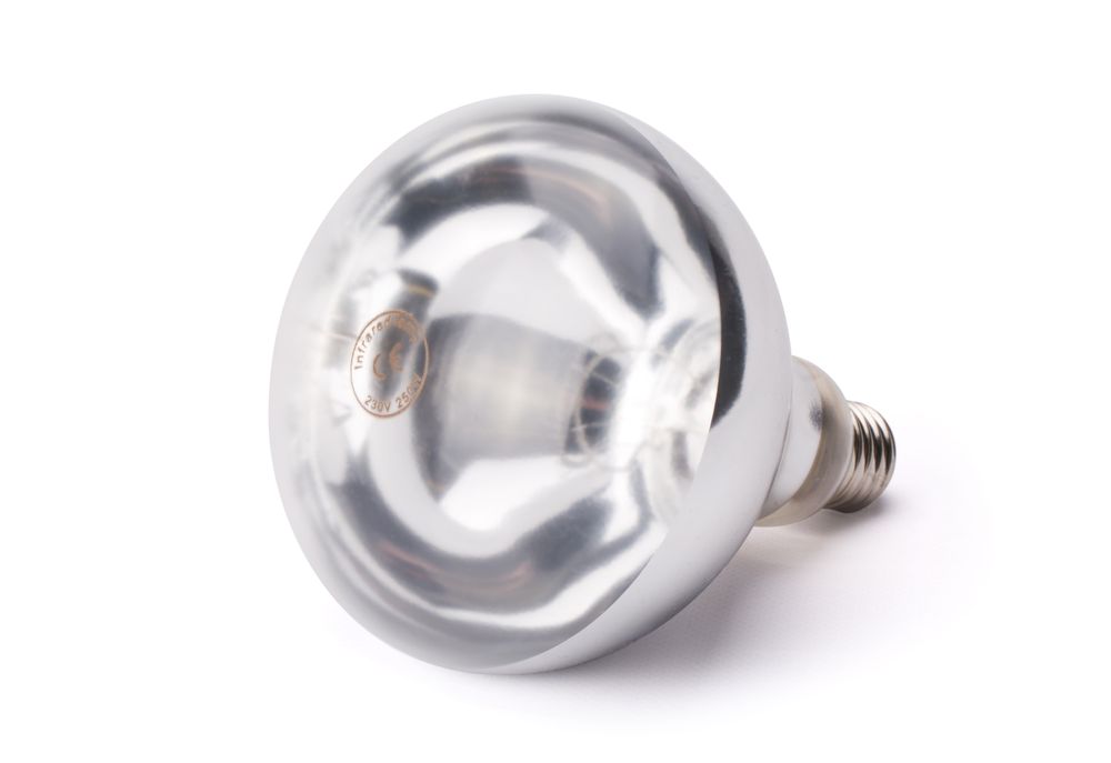infrared_heat_bulb_919200