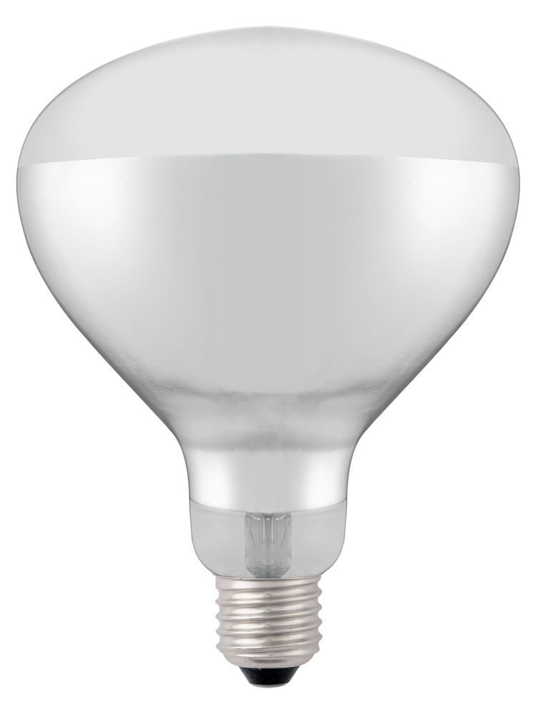 infrared_heat_bulb_919200