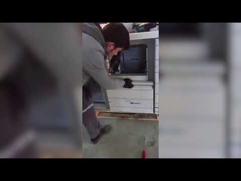 refrigerated-counter-600-height-3-doors