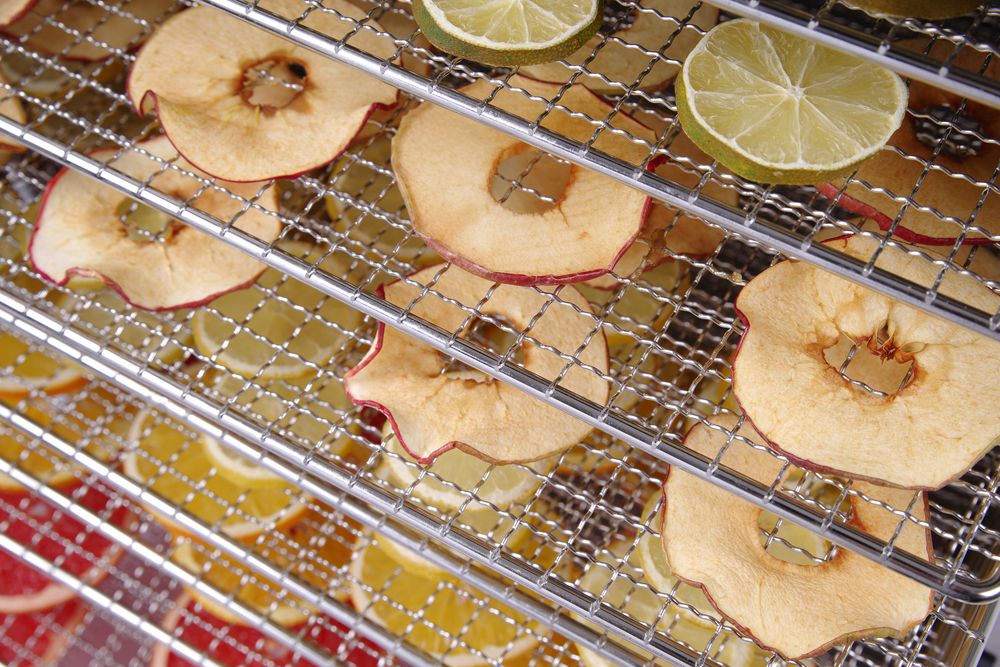 food_dehydrator_profi_line_229026