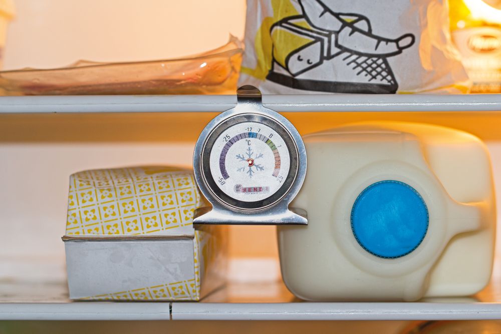refrigerator_thermometer_271186