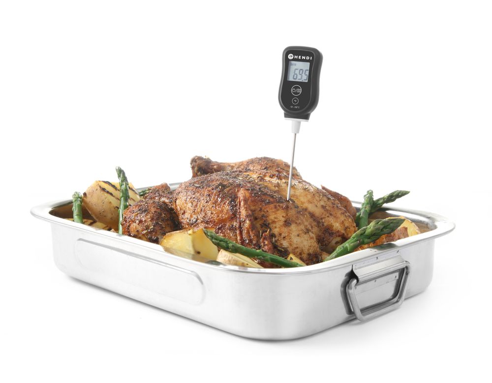 fast_response_thermometer_271230