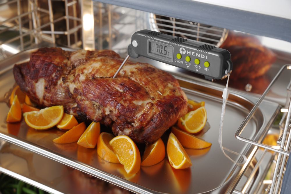 thermometer_with_foldable_probe_271308