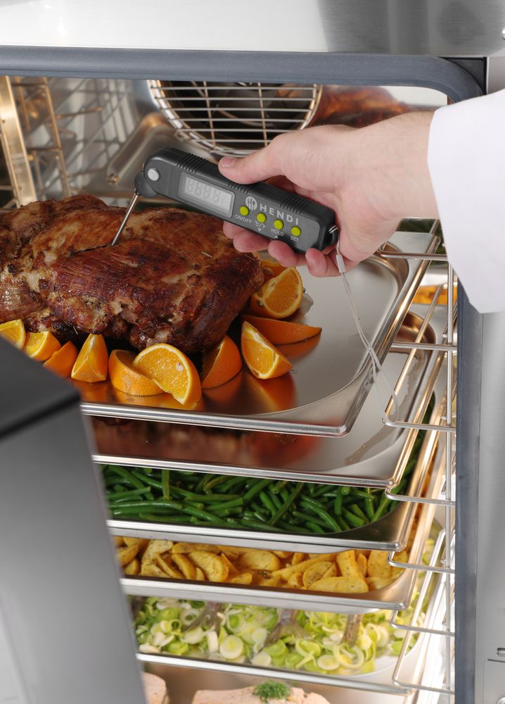 thermometer_with_foldable_probe_271308