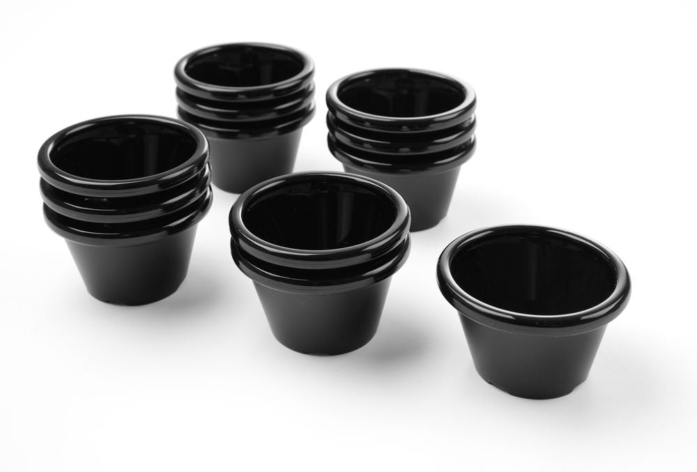 ramekin_12_pcs_565605