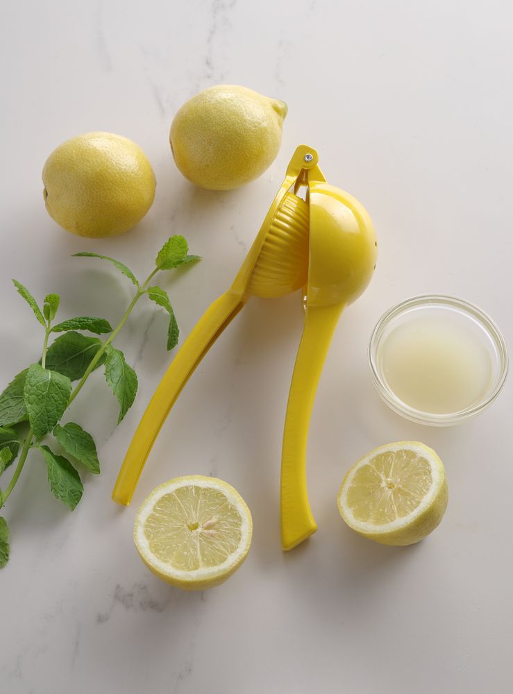 citrus_squeezer_592052