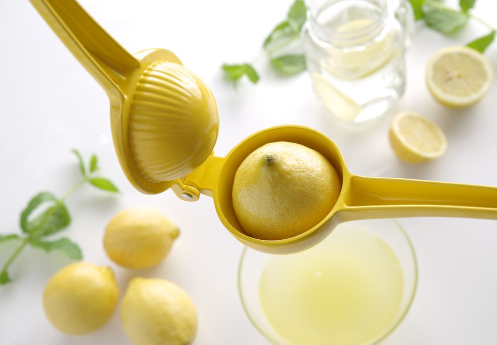 citrus_squeezer_592052