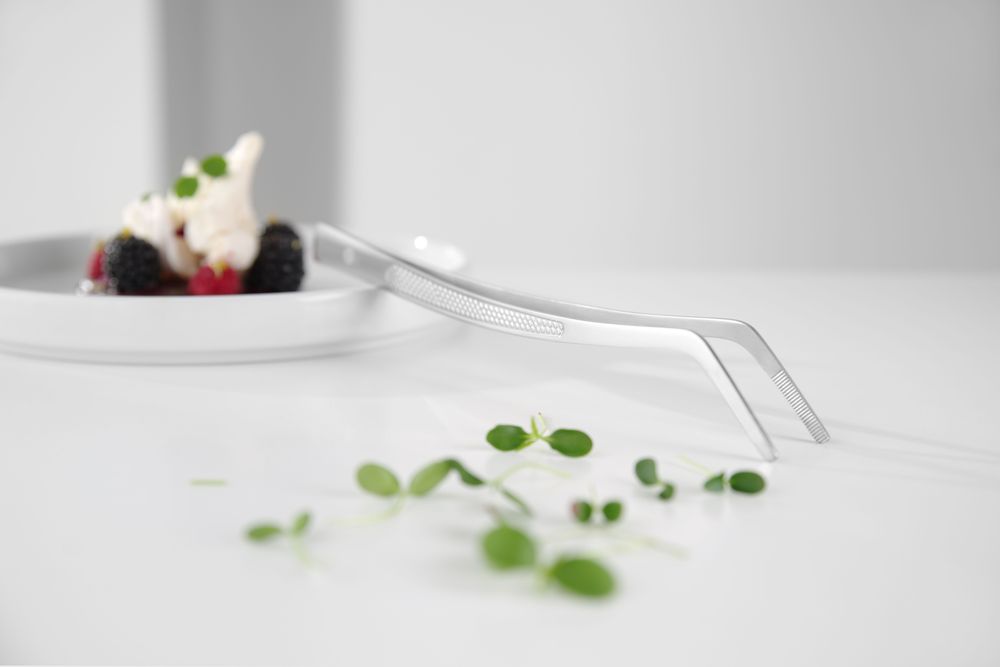 tweezer,_curved,_with_profiled_handle_680186
