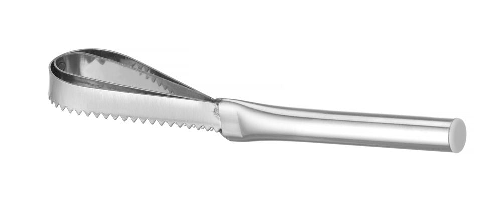 fish_scaler_680223