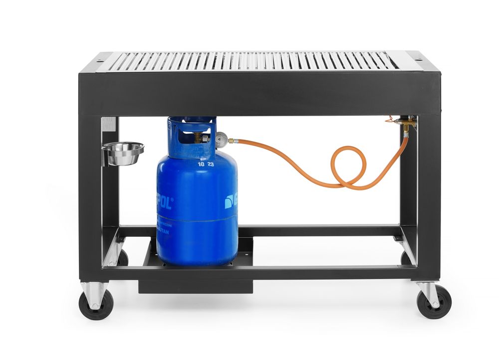gas_barbecue_tampa_700044