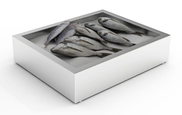 crushed-ice-bin-2-1-gn