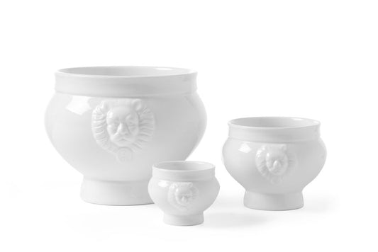 soup_bowl_784754