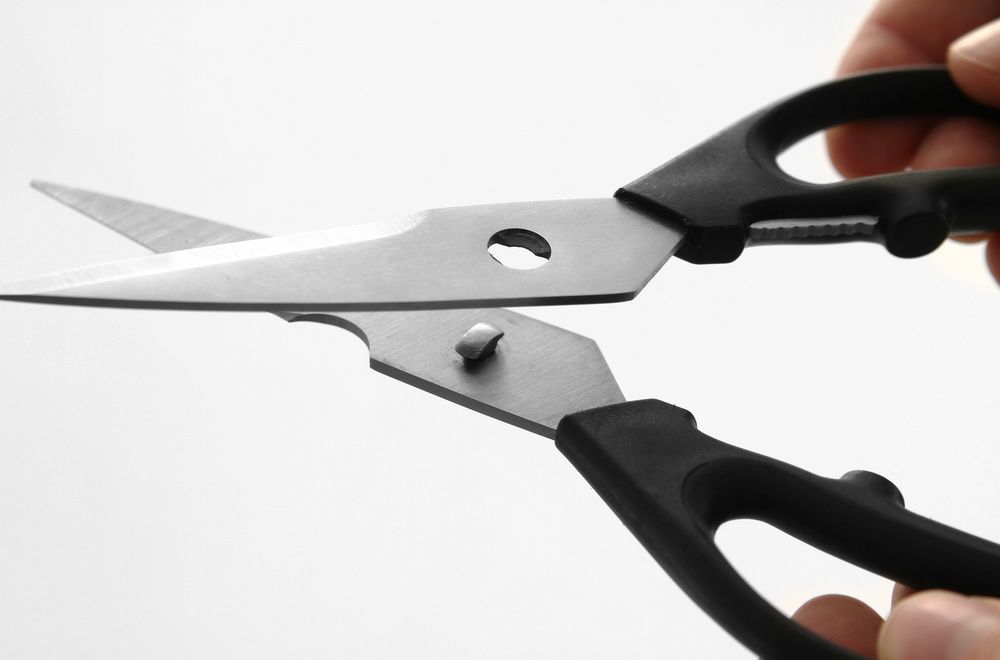 kitchen_shears_856307