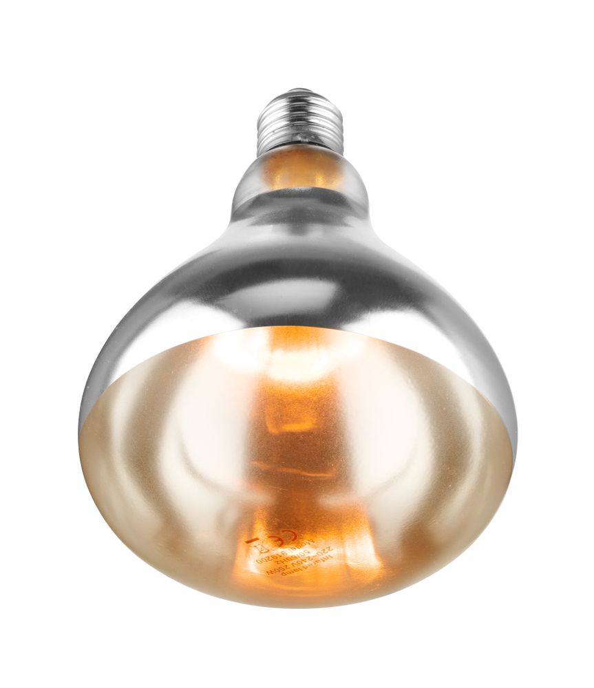 infrared_heat_bulb_919200