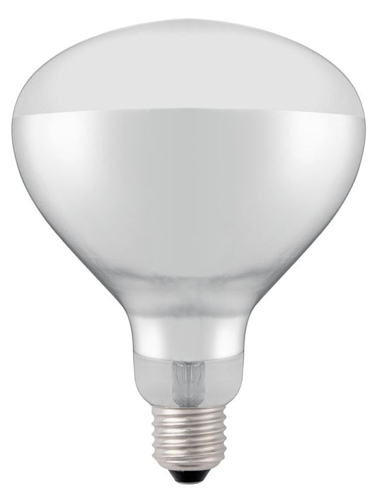infrared_heat_bulb_919200
