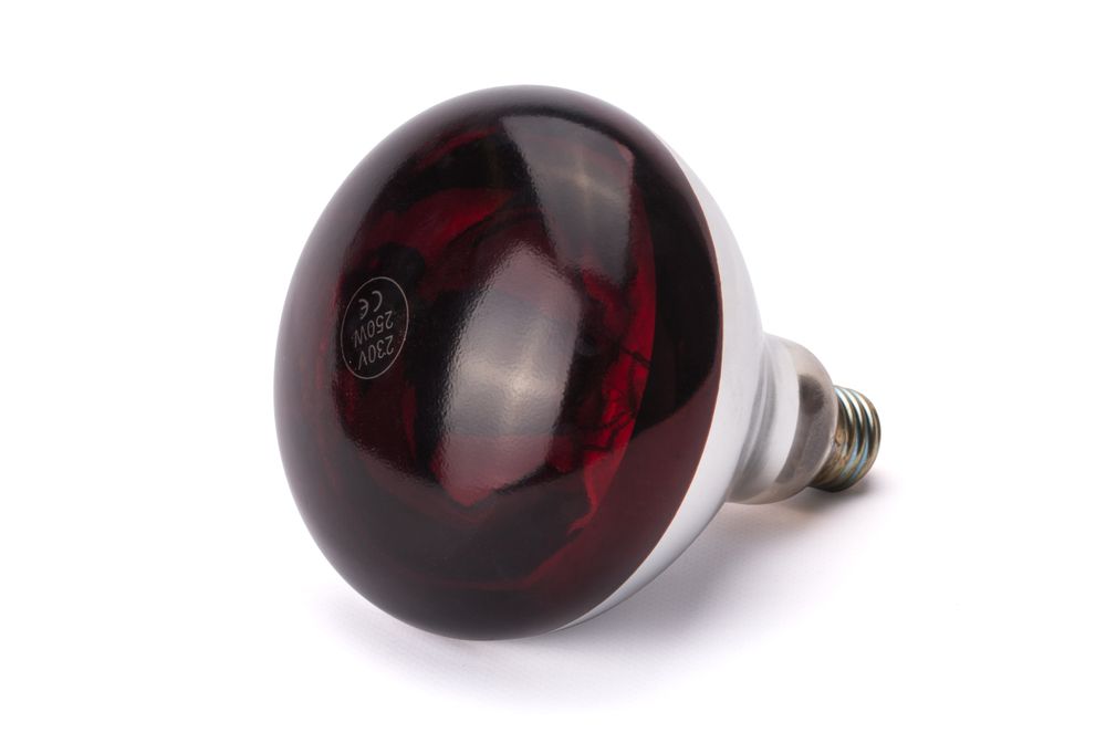 infrared_heat_bulb_919217