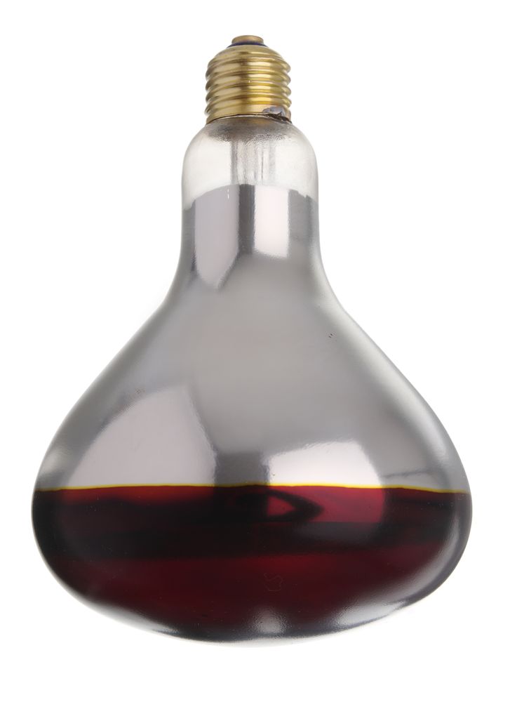 infrared_heat_bulb_919217