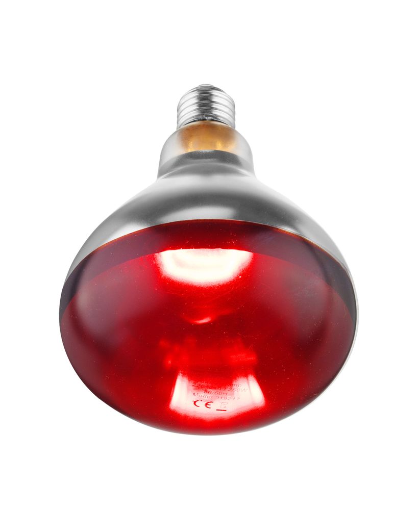 infrared_heat_bulb_919217
