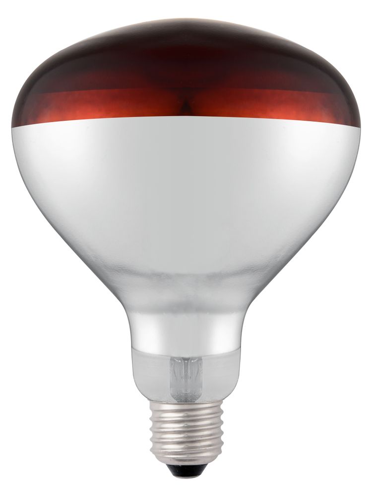 infrared_heat_bulb_919217