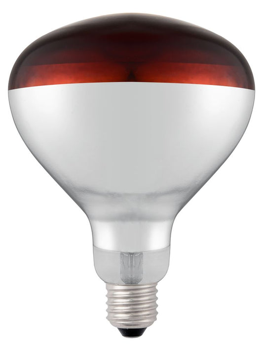 infrared_heat_bulb_919217